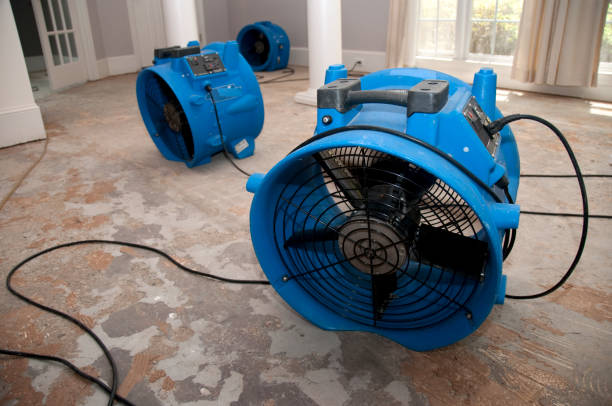 Best Flood damage cleanup  in Hale Center, TX
