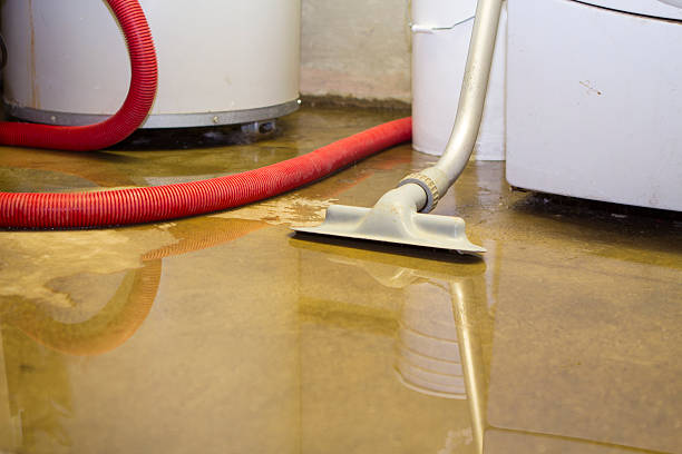 Best Water damage contractors near me  in Hale Center, TX