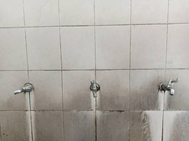 Best Commercial water damage restoration  in Hale Center, TX